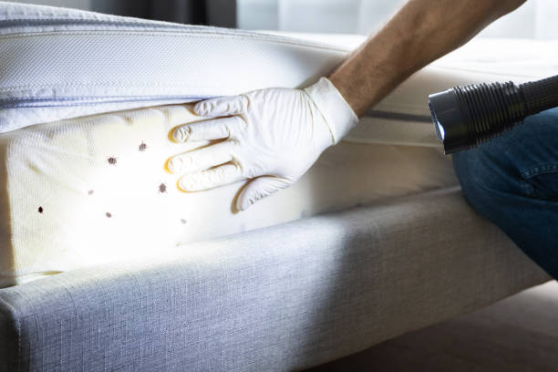 Best Best Pest Control Companies  in North Massapequa, NY