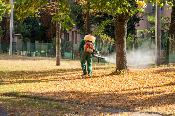 Bird Control in North Massapequa, NY