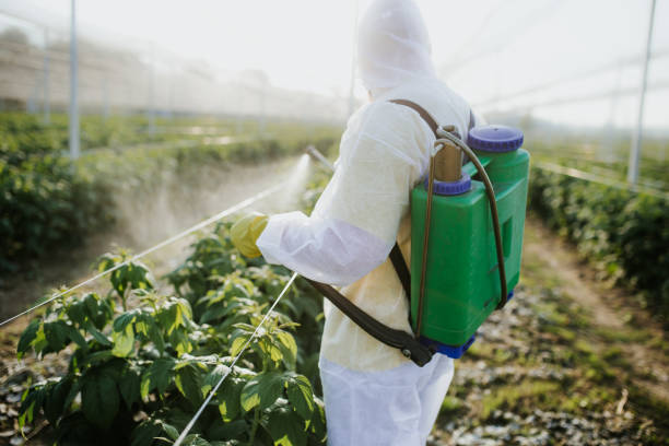 Best Local Pest Control Services  in North Massapequa, NY